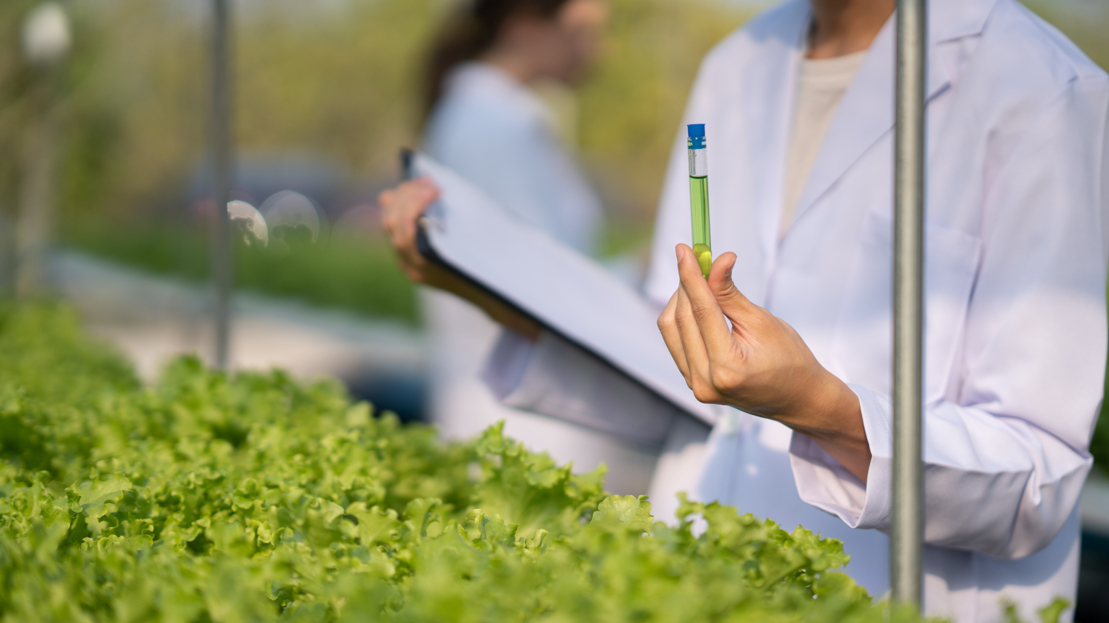 Master of Science (M.Sc.) in Agriculture